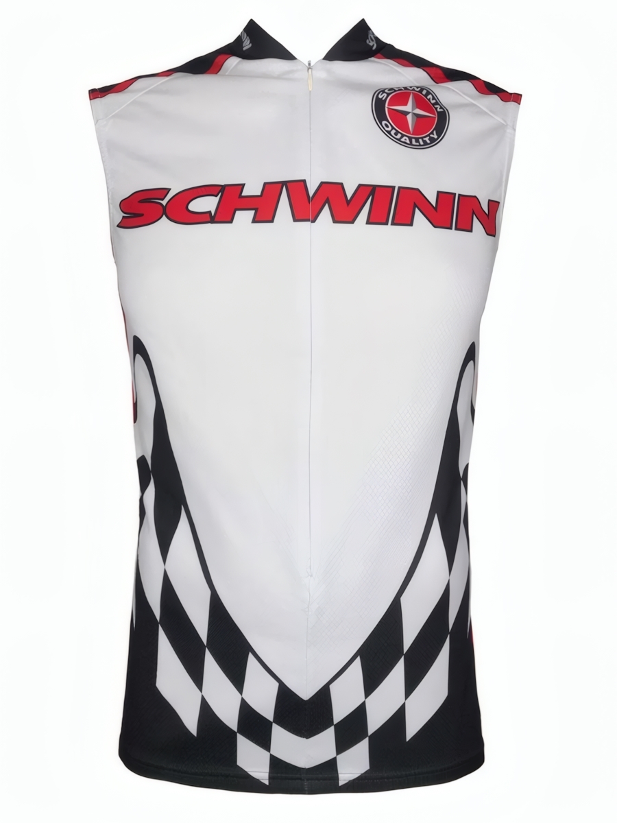 _________________6224d1a9152f4 Летняя веломайка Schwinn — изображение 1