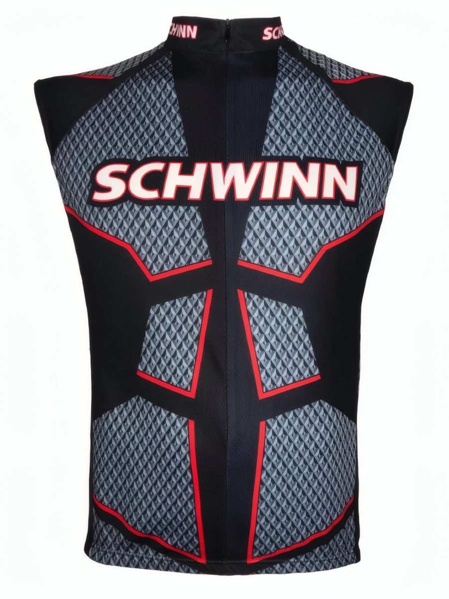 _________________6224d1dde9a69 Летняя веломайка Schwinn — изображение 1